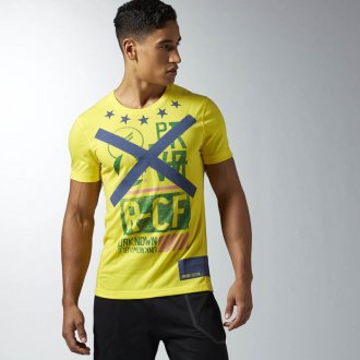 Pánské tričko Reebok CrossFit BLEND T V2 AI1331
