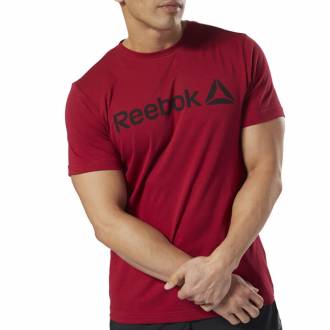 Pánské tričko QQR- Reebok Linear Read - DH3782