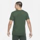 Pánské tričko Nike - Green 