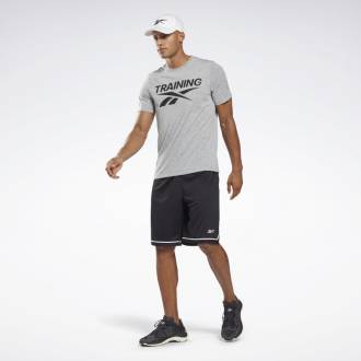 Pánské tričko Reebok Training Tee - šedé - HB7259